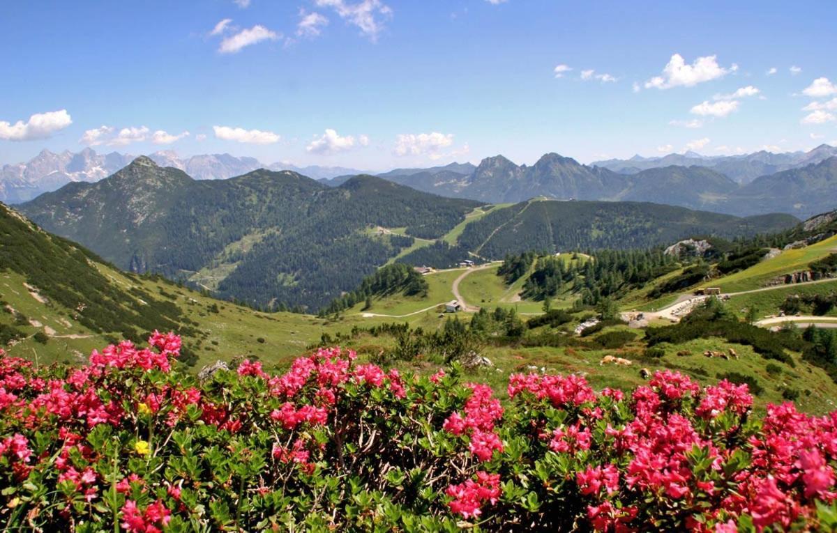 Vorderwiesgut Altenmarkt im Pongau Kültér fotó