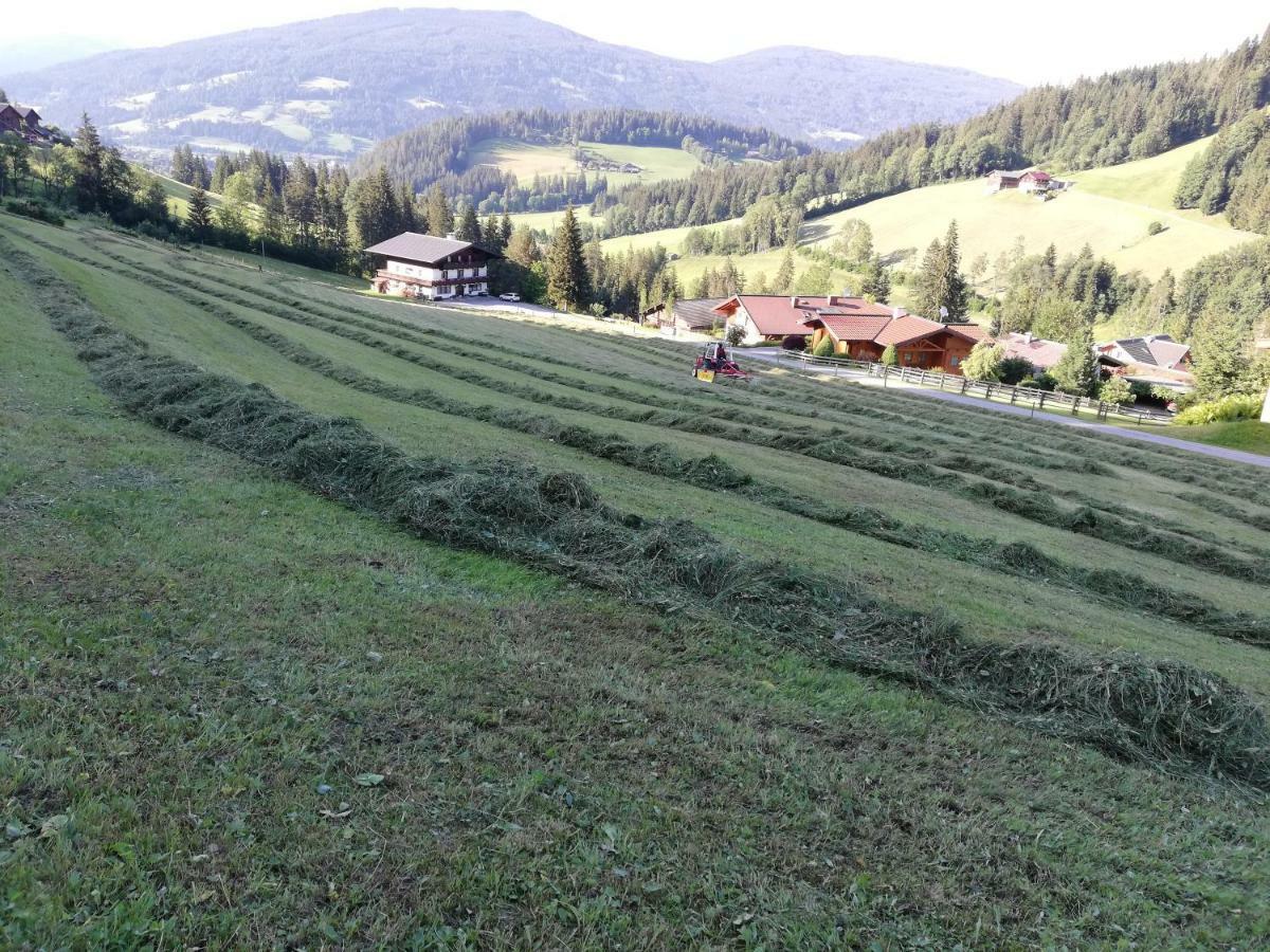 Vorderwiesgut Altenmarkt im Pongau Kültér fotó