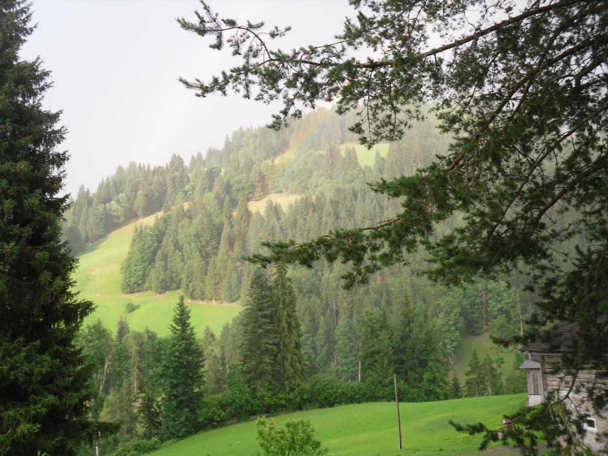 Vorderwiesgut Altenmarkt im Pongau Kültér fotó